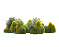 Tropical forest isolated on transparent background. 3d rendering - illustration png