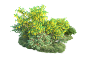 tropisch Wald isoliert auf transparent Hintergrund. 3d Rendern - - Illustration png