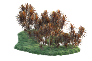 tropical floresta isolado em transparente fundo. 3d Renderização - ilustração png