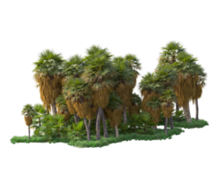 Tropical forest isolated on transparent background. 3d rendering - illustration png