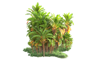 Tropical forest isolated on transparent background. 3d rendering - illustration png