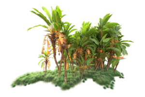 Tropical forest isolated on transparent background. 3d rendering - illustration png