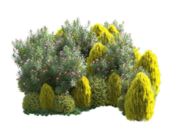 tropical floresta isolado em transparente fundo. 3d Renderização - ilustração png