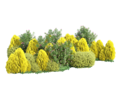 tropisk skog isolerat på transparent bakgrund. 3d tolkning - illustration png