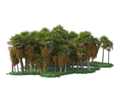 Tropical forest isolated on transparent background. 3d rendering - illustration png