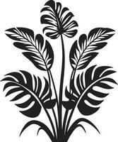 Tropical Charm in Black Black Vector Icon Island Floral Harmony Vector Design