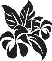 Exotic Floral Elegance Vector Design Island Paradise Blossom Black Icon
