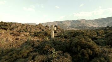 A cemetery cross surrounded by a peaceful grassy landscape photo