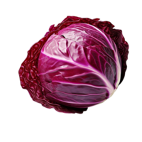 AI generated Red cabbage clip art png