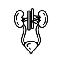 Urinary System icon in vector. Logotype vector