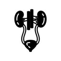 Urinary System icon in vector. Logotype vector