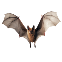 ai généré chauve souris agrafe art png