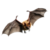 AI generated Bat clip art png