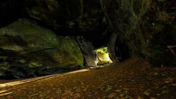 Shaft of light beaming down into large cave photo