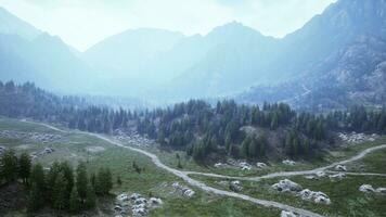 cross road on hillside meadow in mountains photo