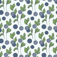 Blueberry on twig seamless pattern vector