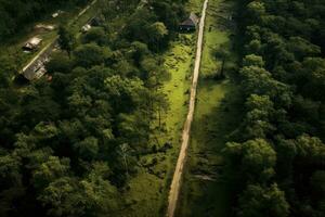 AI generated Aerial view of the village in the middle of the forest, A narrow street between woodlands, seen from a drone's perspective, AI Generated photo