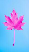 AI generated 4K Colorful leaf AMOLED Wallpaper for Mobile photo