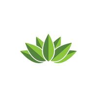 logotipos de la ecología de la hoja del árbol verde vector