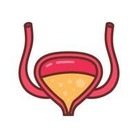 Bladder icon in vector. Logotype vector