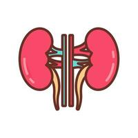 Kidney icon in vector. Logotype vector