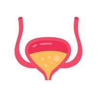 Bladder icon in vector. Logotype vector