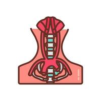 vasculatura de pelvis icono en vector. logotipo vector