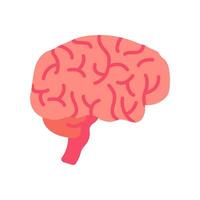 Brain icon in vector. Logotype vector