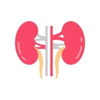 Kidney icon in vector. Logotype vector