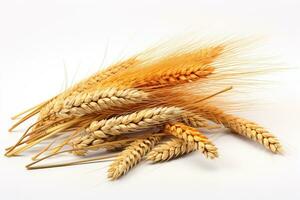 AI generated Wheat ears isolated on white background. Generated by artificial intelligence photo