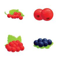 Currant icons set cartoon vector. Red and black currant vector