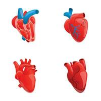 Human heart icons set cartoon vector. Heart with venous system vector