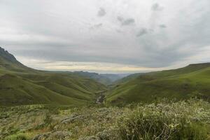 verde Valle en Drakensberg foto