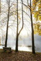 Autumn colored trees next to the lake photo