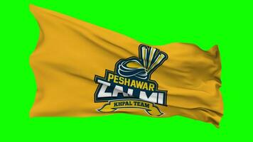 Peshawar zalmi, pz bandeira acenando desatado ciclo dentro vento, croma chave verde tela, luma fosco seleção video