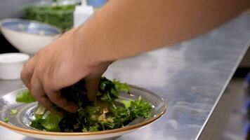 cozinhar mãos mistura fresco cortado salada com abacate dentro restaurante cozinha video