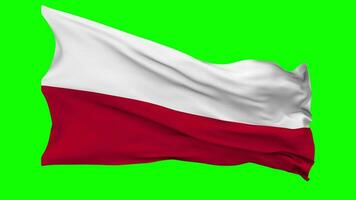 Poland Flag Waving Seamless Loop in Wind, Chroma Key Green Screen, Luma Matte Selection video