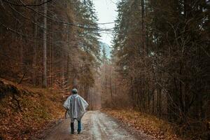 man in raincoat walks through forest, rain, loneliness, autumn and winter, man inside himself, reflections photo