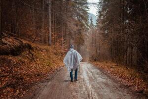 man in raincoat walks through forest, rain, loneliness, autumn and winter, man inside himself, reflections photo
