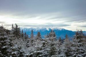 Beautiful view of forest and mountains, winter, screensaver and background, copy space photo