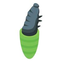 Work from cocoon icon isometric vector. Silkworm biology vector