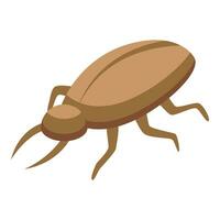 Bug insect icon isometric vector. Pupa transformation vector