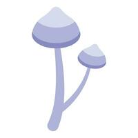 White mushrooms icon isometric vector. Autumn poisonous fungus vector