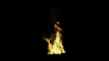 Medium campfire on black background video