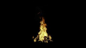 Big campfire on black background video