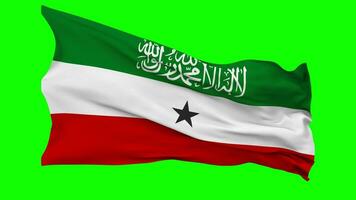 Somaliland Flag Waving Seamless Loop in Wind, Chroma Key Green Screen, Luma Matte Selection video