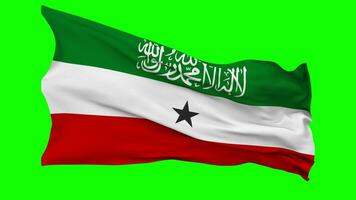 Somaliland drapeau agitant sans couture boucle dans vent, chrominance clé vert filtrer, luma mat sélection video