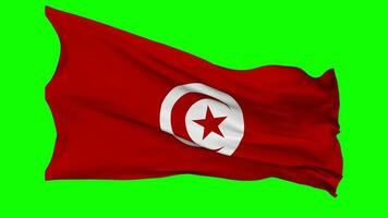 Tunisia Flag Waving Seamless Loop in Wind, Chroma Key Green Screen, Luma Matte Selection video