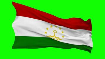Tajikistan Flag Waving Seamless Loop in Wind, Chroma Key Green Screen, Luma Matte Selection video