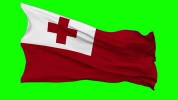 Tonga Flag Waving Seamless Loop in Wind, Chroma Key Green Screen, Luma Matte Selection video